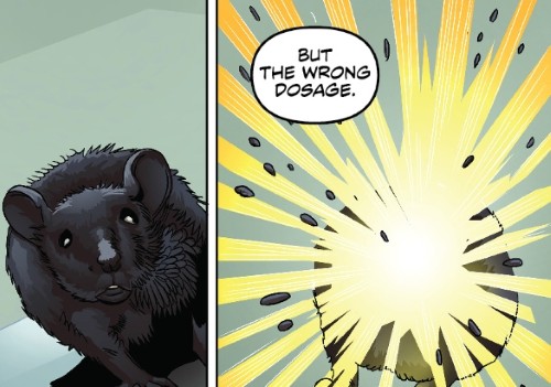 Wonderous Sample Panel
